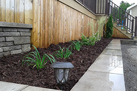 Patios en bois